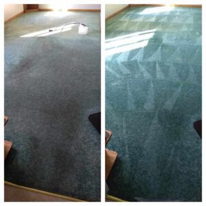 A before and after picture of the same carpet.