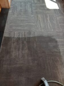 A rug with some brown stains on it
