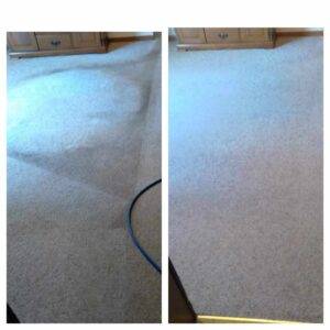 A before and after picture of the carpet cleaning process.