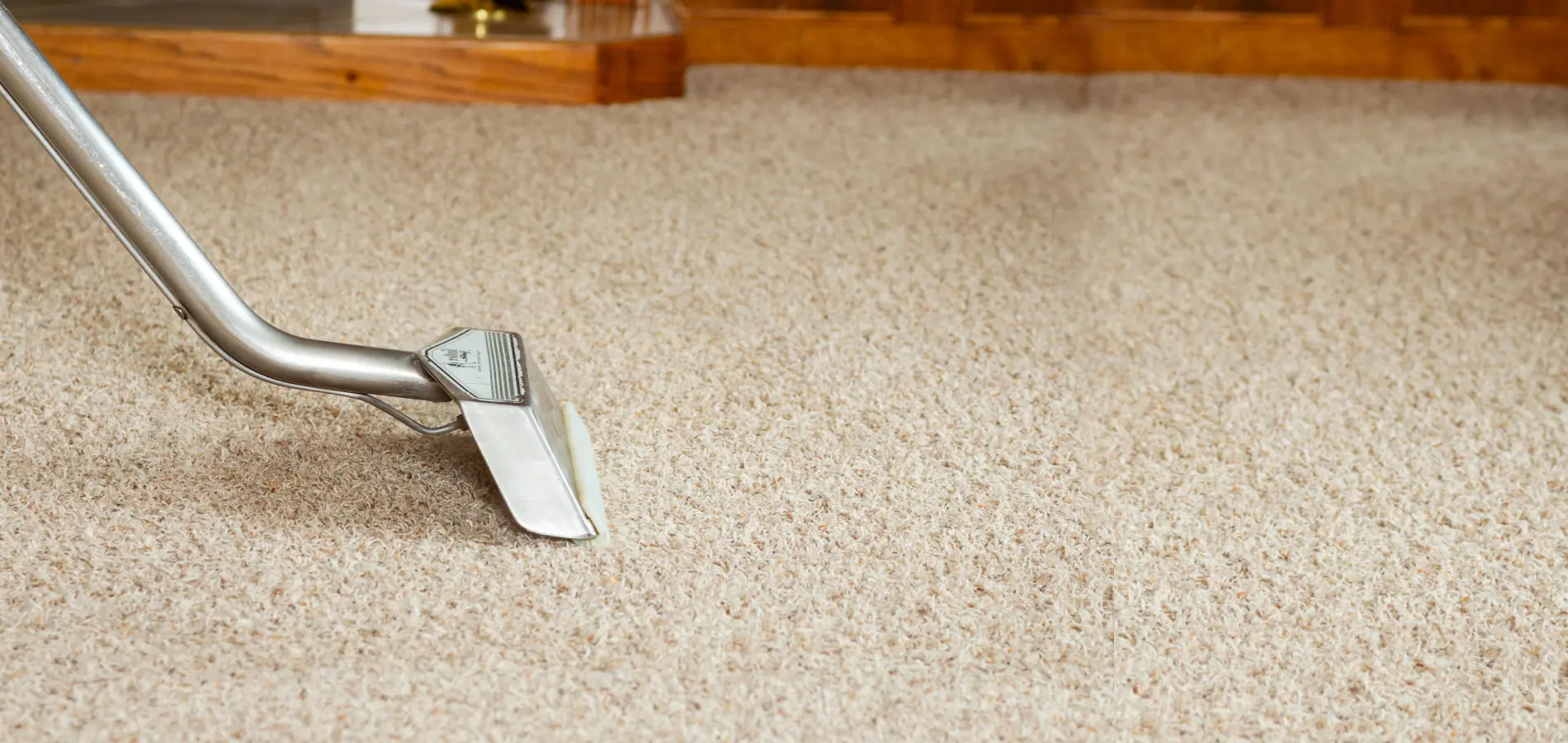 A carpet being cleaned with a tool on the floor.